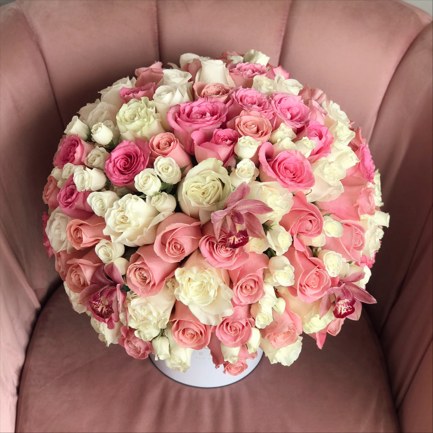 Amelia in Large Ecobox