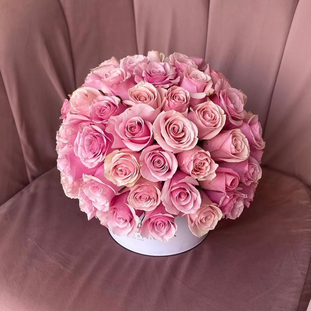 Bolita Cool Pink in Small Ecobox