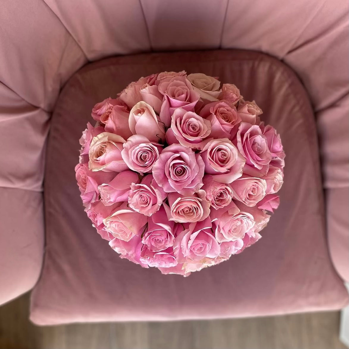 Bolita Cool Pink in Small Ecobox