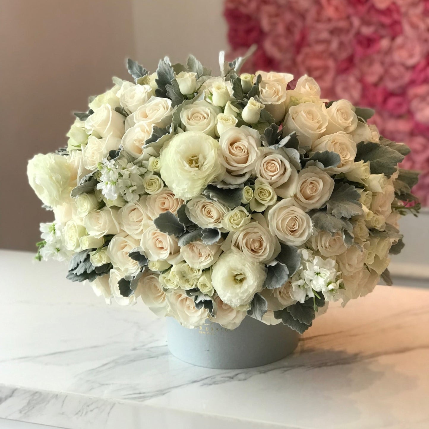 Alma in Large Ecobox