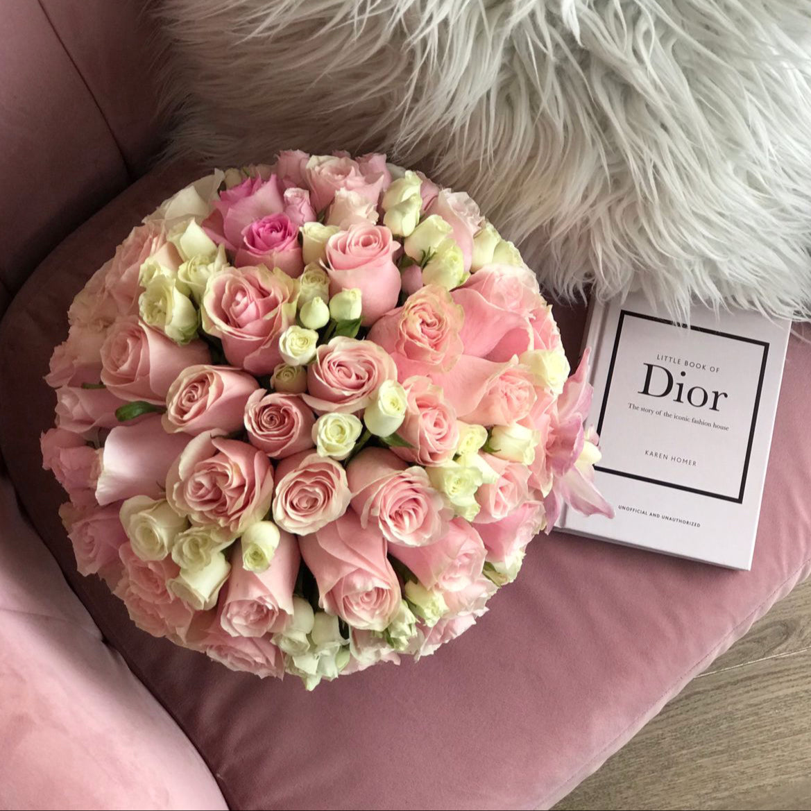 Amelia in Small Ecobox