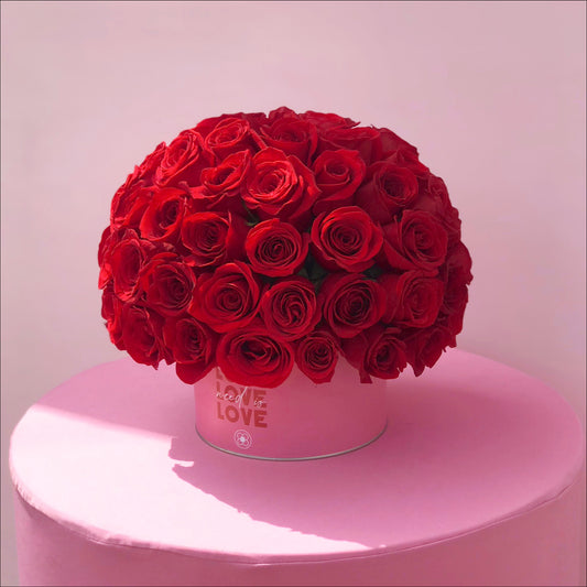 Bolita Cool Red in Small Ecobox