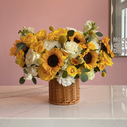 Medium Sunfllower