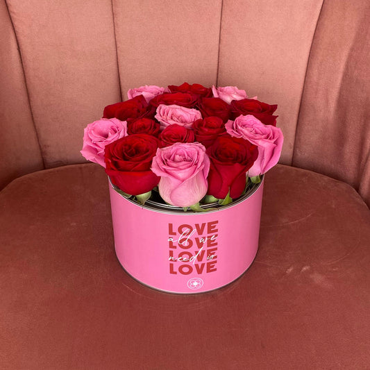 No.6 MODERN LOVE PINK & RED