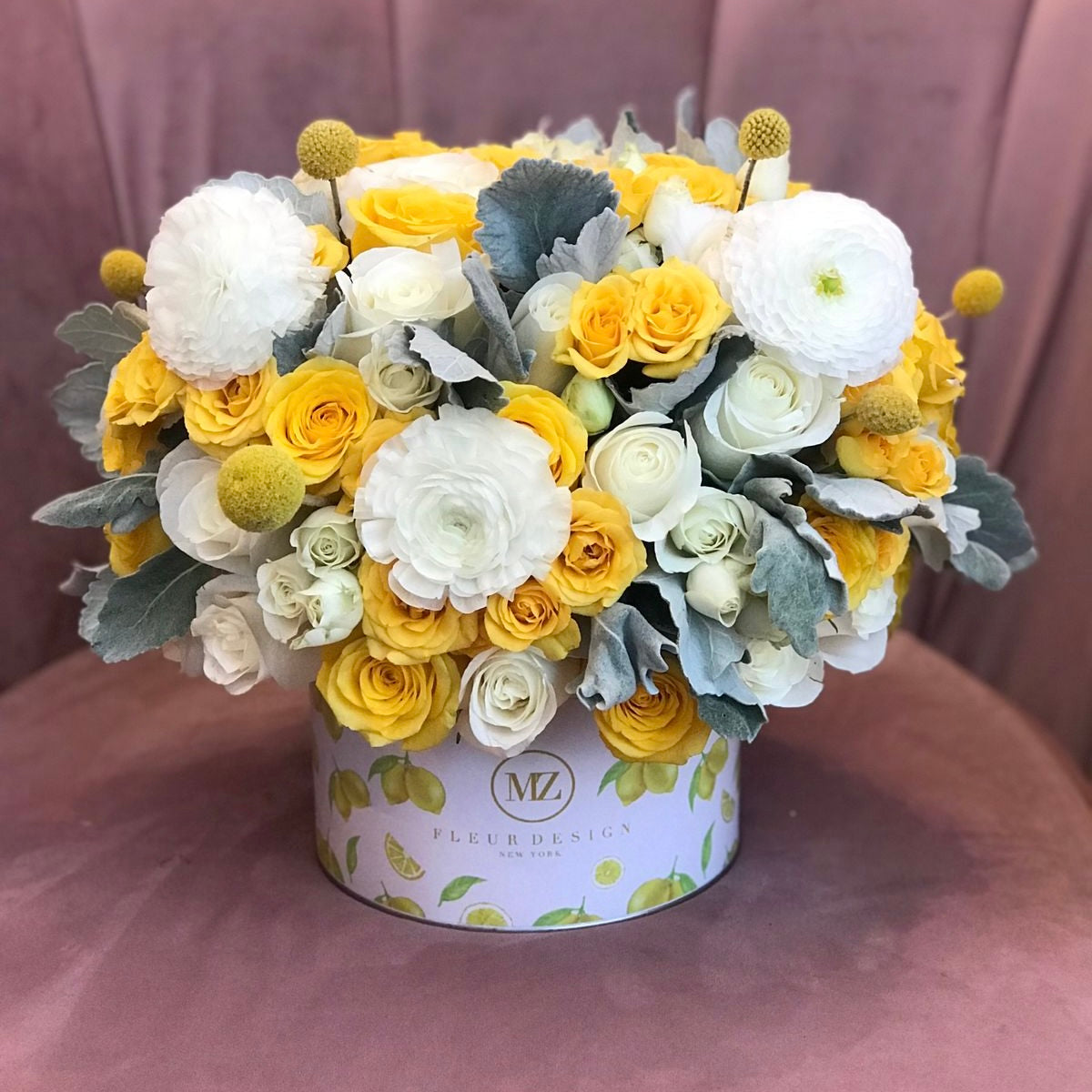 Sabrina in Small Ecobox